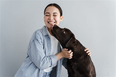 Close up of a Dog Licking a Woman